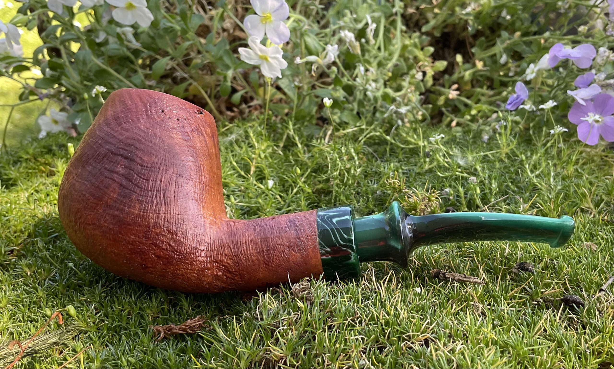 Arbutus/Spigot