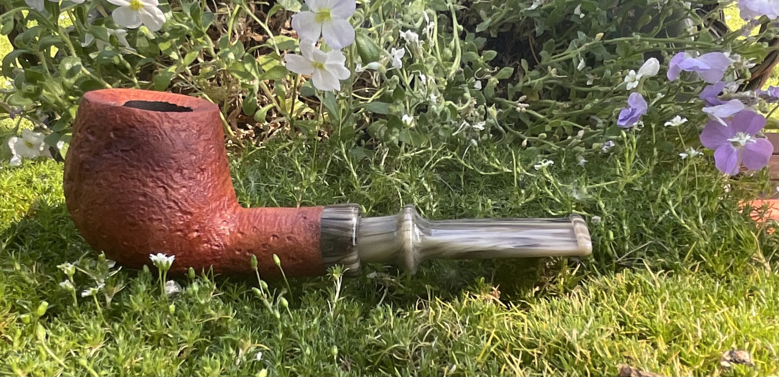 Arbutus/Spigot