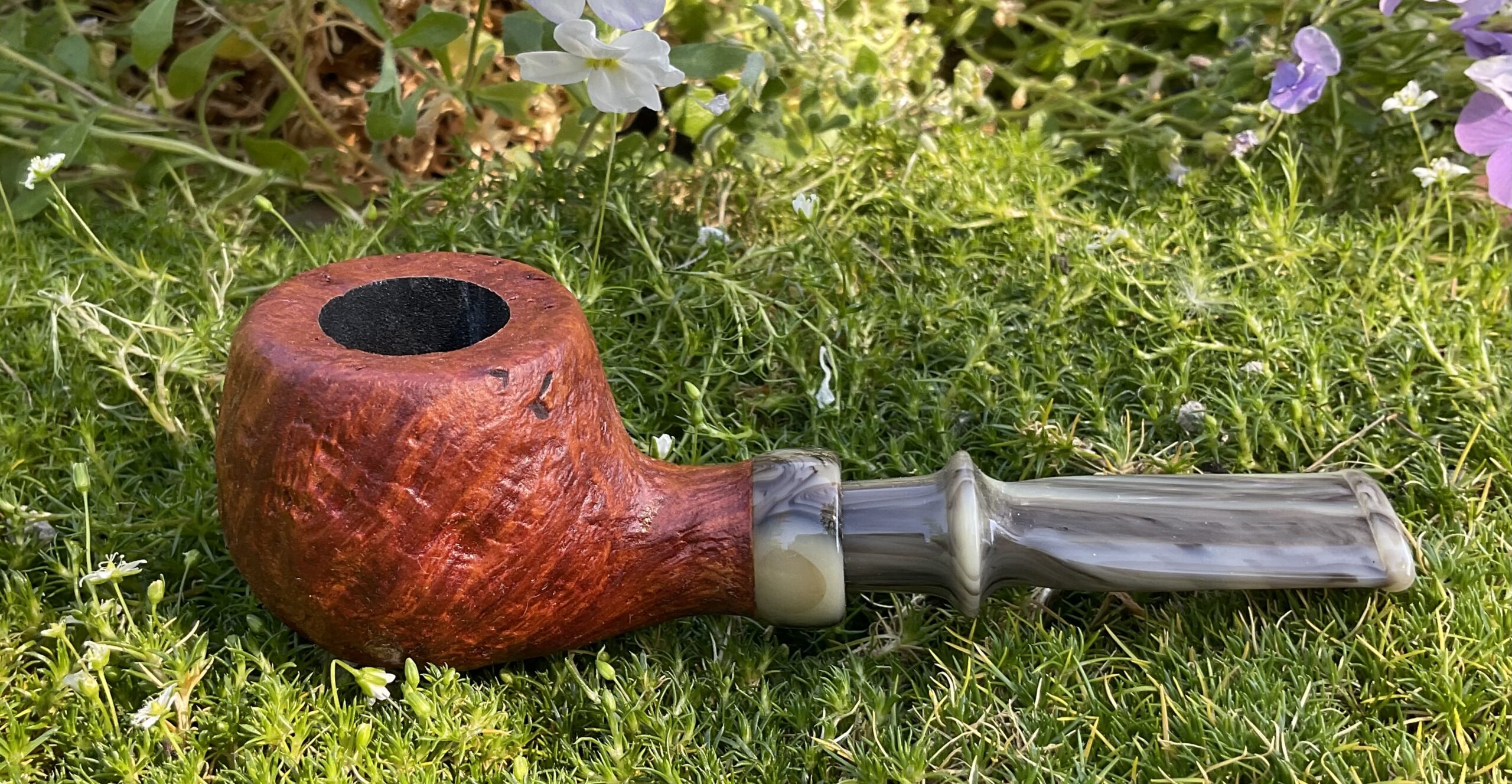 Arbutus/Spigot
