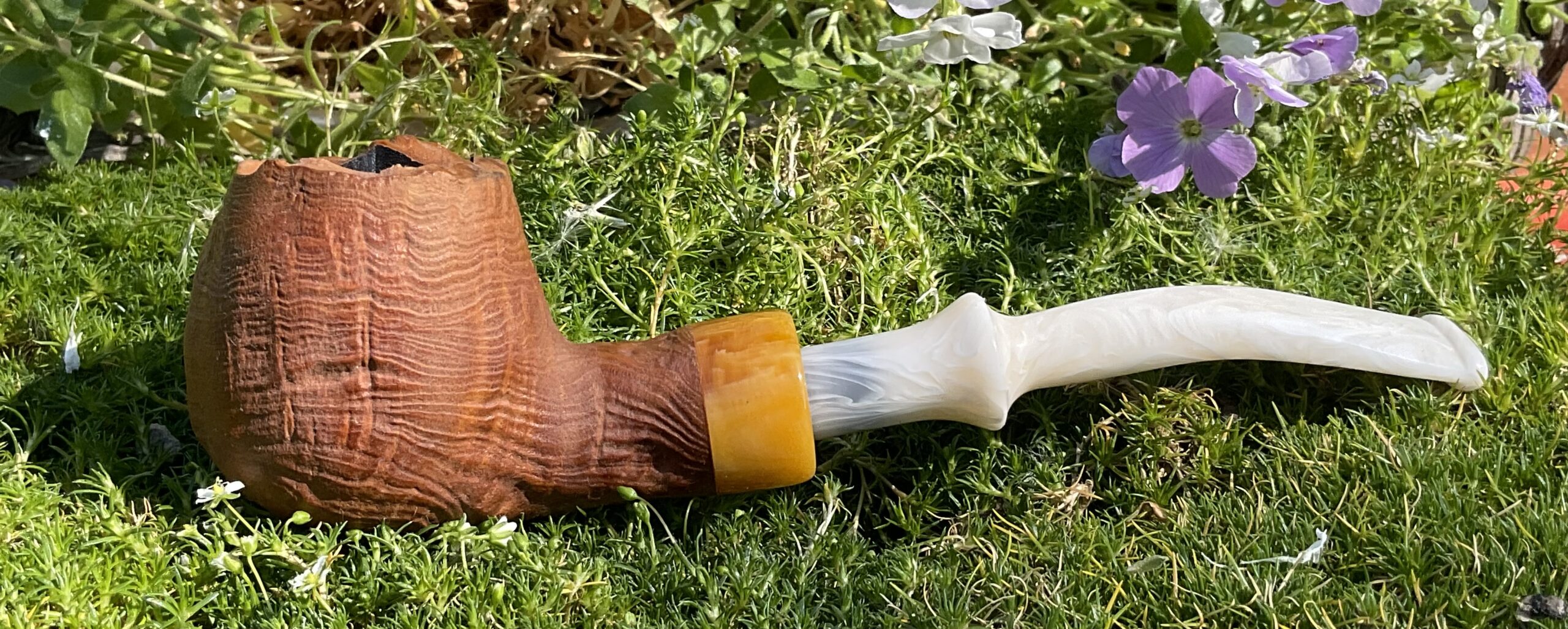 Arbutus