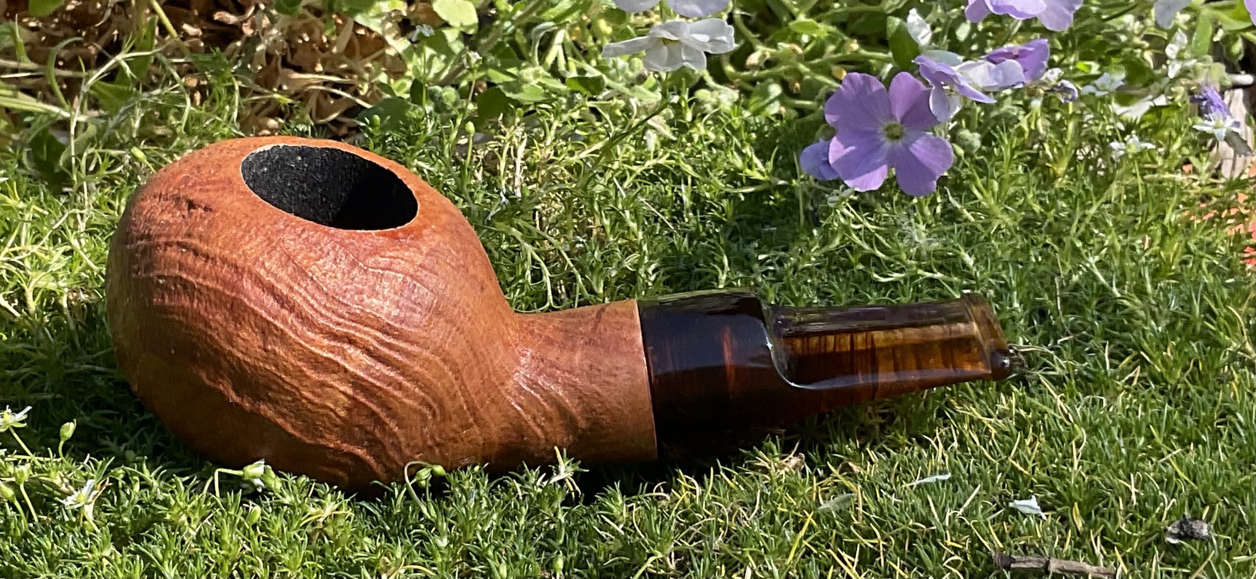 Arbutus/Spigot